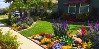 Color that go with purple: Best colour combination colour that go with purple