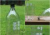 Homemade fly trap: Do it yourself homemade fly trap