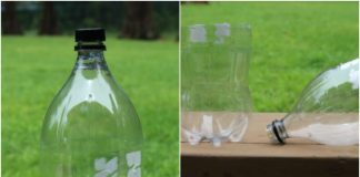 Homemade fly trap: Do it yourself homemade fly trap
