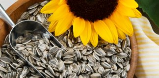 How to eat sunflower seeds how to eat sunflower seeds
