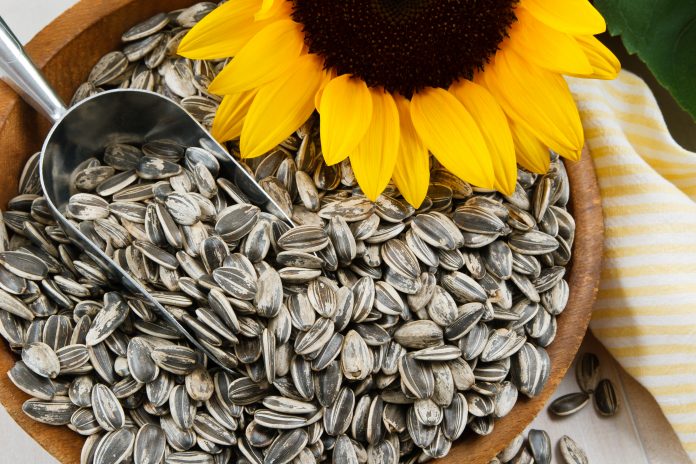 how to eat sunflower seeds