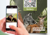 How Can QR Codes Be Used To Effortlessly Distribute High-Quality Images? QR Codes Be Used