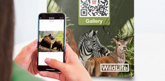 How Can QR Codes Be Used To Effortlessly Distribute High-Quality Images? QR Codes Be Used