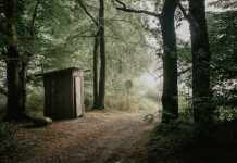 How To Choose An Off-Grid Toilet In 2022 Off-Grid Toilet