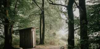 How To Choose An Off-Grid Toilet In 2022 Off-Grid Toilet