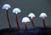 Aesthetic Benefits of a Mushroom Lamp