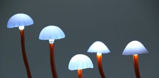 Aesthetic Benefits of a Mushroom Lamp