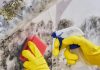 Early Warning Signs Of Mould Toxicity