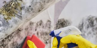 Early Warning Signs Of Mould Toxicity